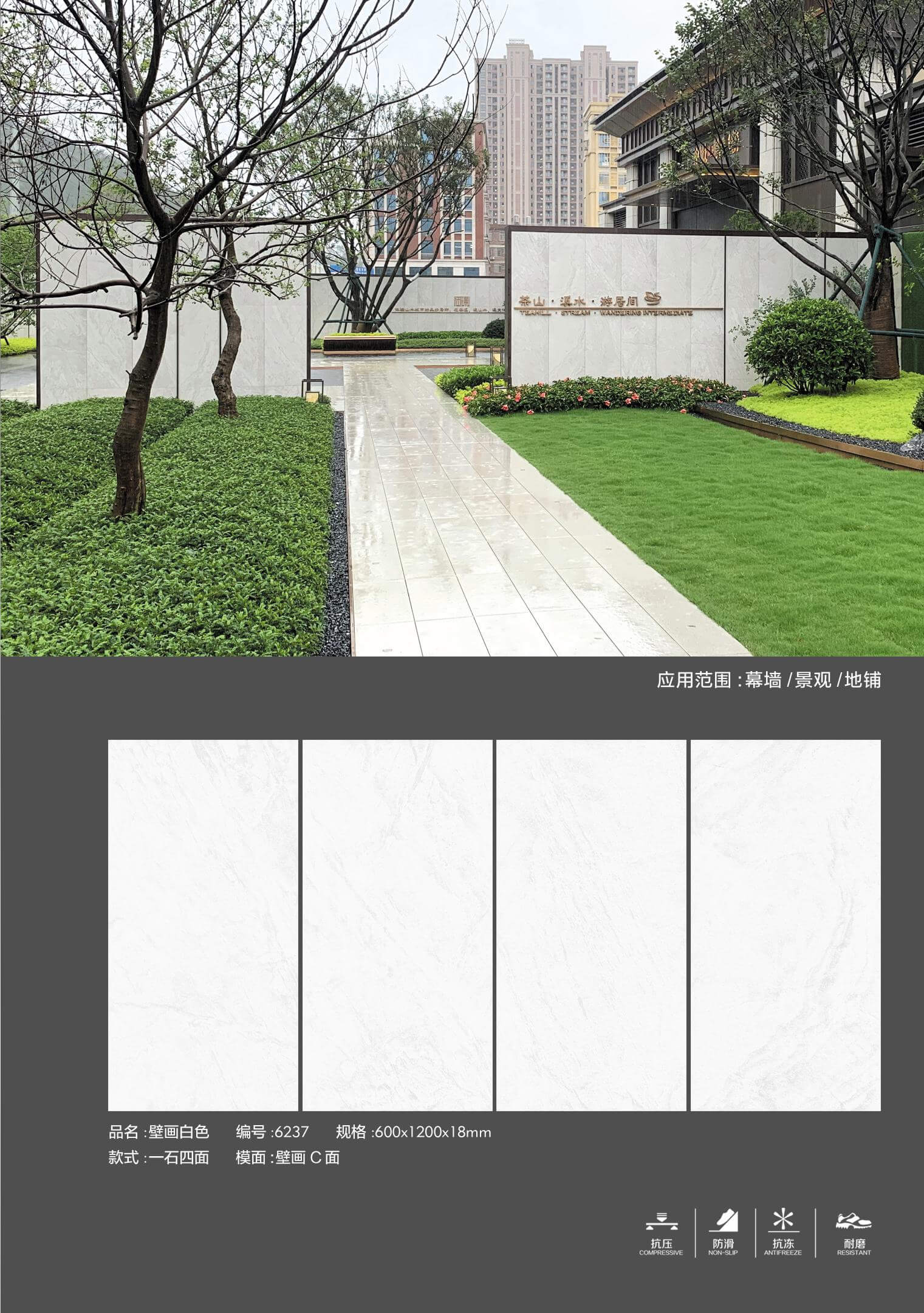 6237 壁画白色