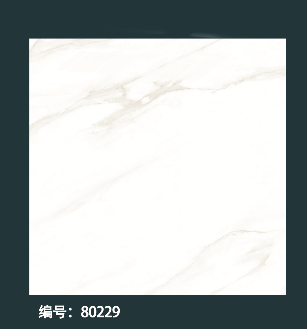 80229