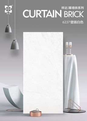 6237 壁画白色