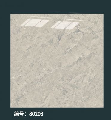80203